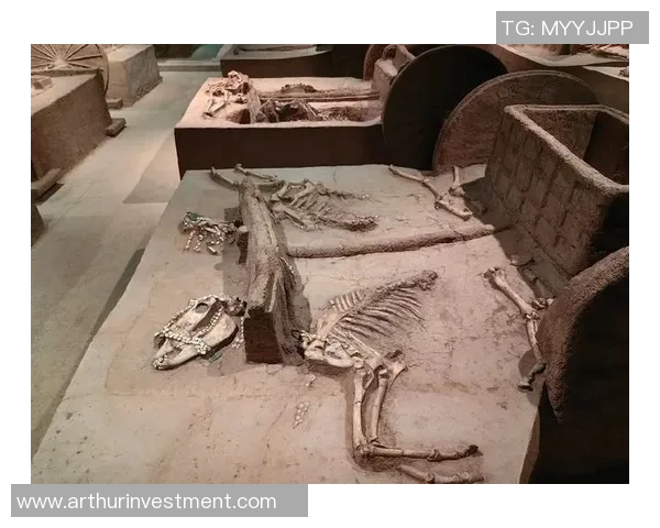 古铁雷斯的传奇人生与时代背景探秘：从战场到历史的见证者