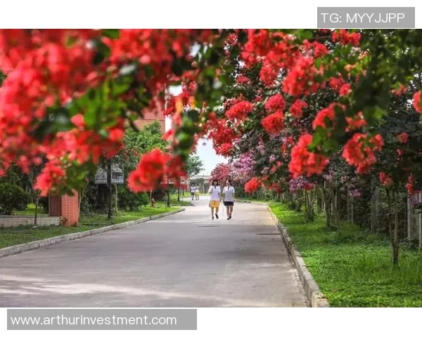 景菡一的成长之路与梦想追寻:在风雨中绽放的青春故事